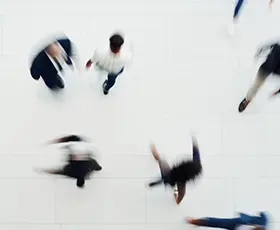 宗母総委員会・組織図