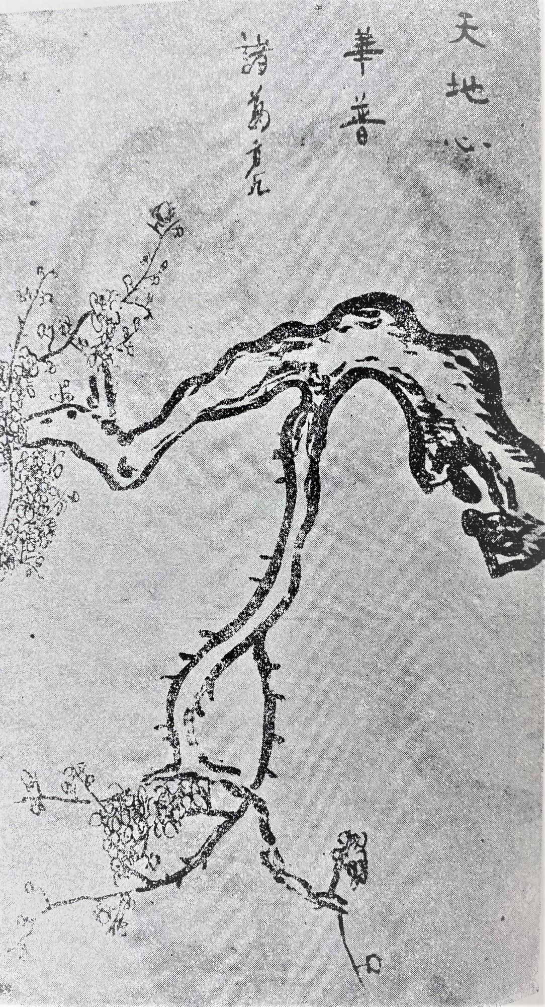 昌佐神（諸葛孔明）＆二宮尊徳誕日祭典と劉備玄徳 のこと（昌佐神略史）